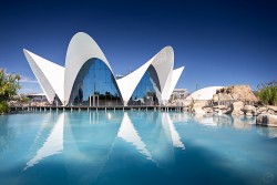 Das größte Ozeaneum Europas, das L’Oceanogràfic, in Valencia als beliebte Sehenswürdigkeit