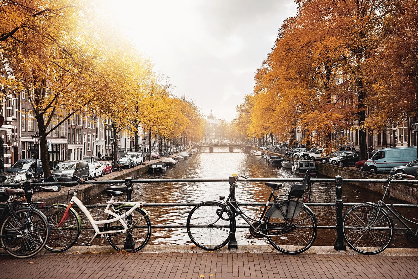 Herbstliche Färbung einer Gracht in Amsterdam