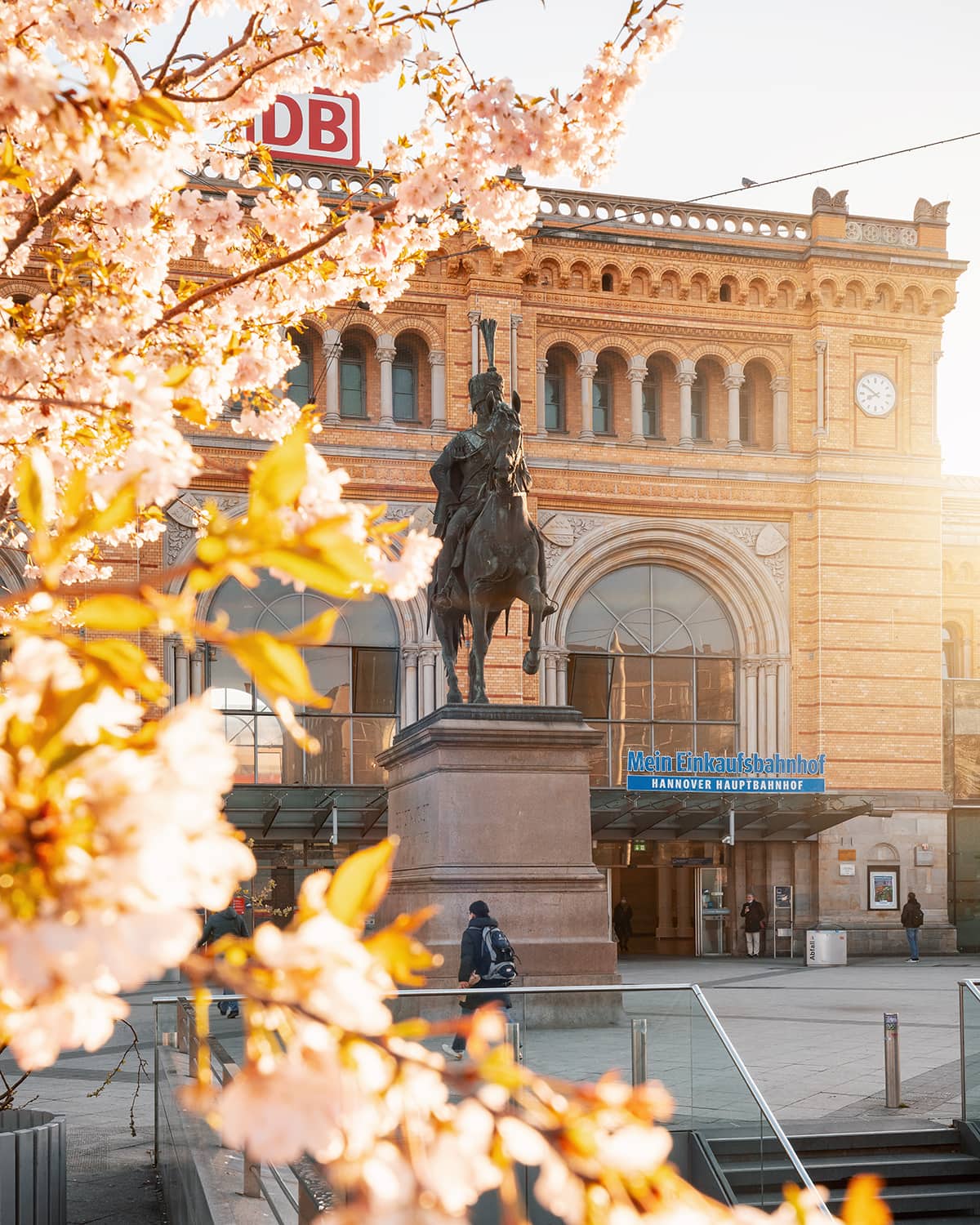 Kirschblüte am Hauptbahnhof Hannover im Frühling mit dem Ernst-August-Denkmal