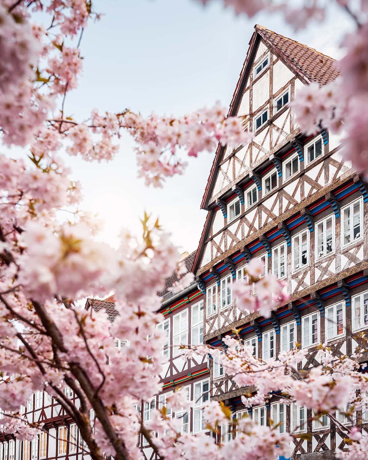 Altstadt Hannover im Frühling