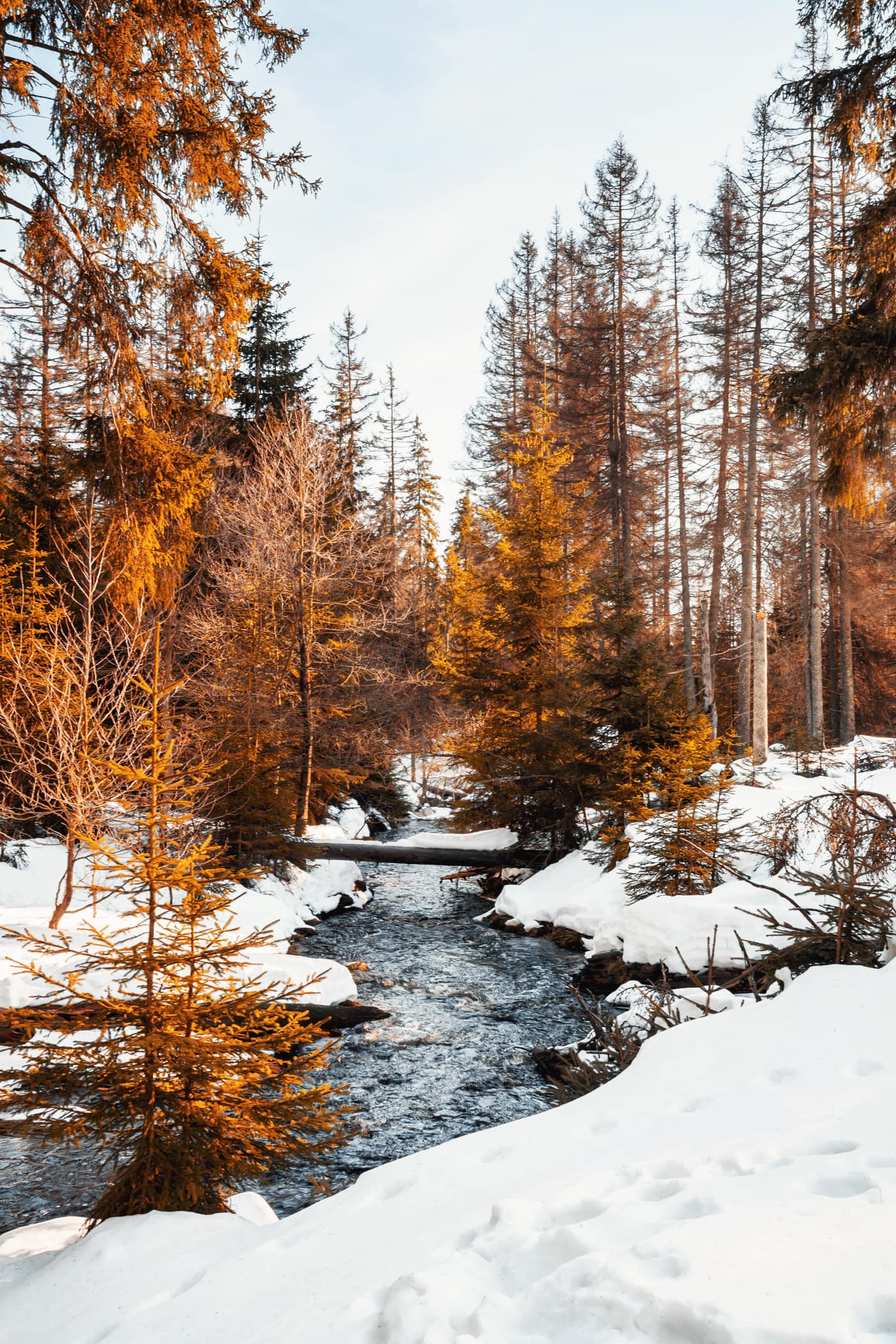 Winter am Oderteich Stausee im Harz bei Goslar und Braunlage, Niedersachsen, Deutschland, Europa