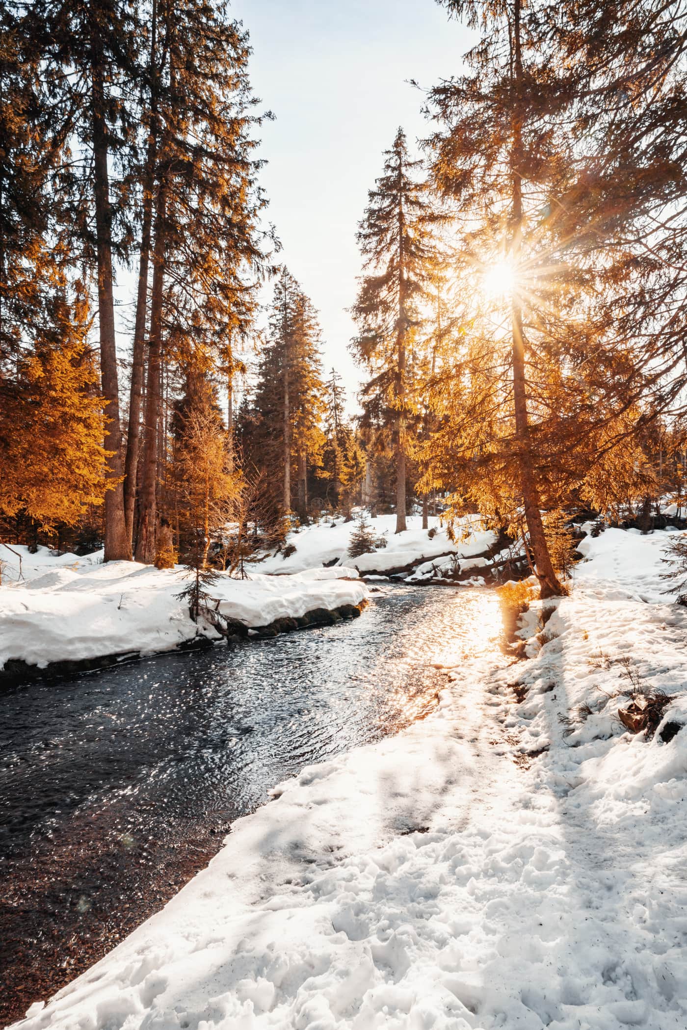 Winterlandschaft am Oderteich im Harz: Einblicke in die Landschaft und Tipps für Wanderungen und Aktivitäten in der Umgebung